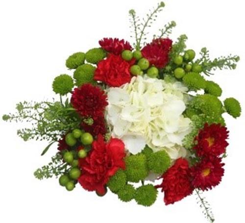 CHRISTMAS WISHES- 16 STEM